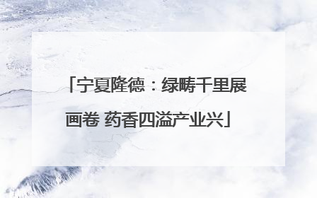 宁夏隆德：绿畴千里展画卷 药香四溢产业兴