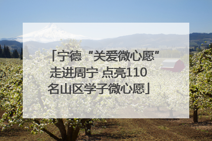宁德“关爱微心愿”走进周宁 点亮110名山区学子微心愿