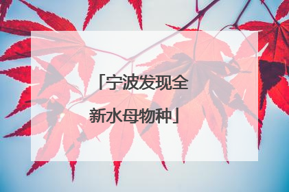 宁波发现全新水母物种