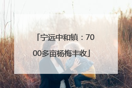 宁远中和镇：7000多亩杨梅丰收