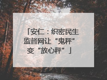 安仁：织密民生监督网让“鬼秤”变“放心秤”