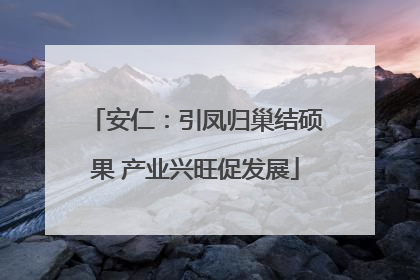安仁：引凤归巢结硕果 产业兴旺促发展