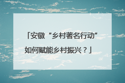 安徽“乡村著名行动”如何赋能乡村振兴？