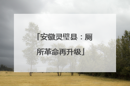 安徽灵璧县：厕所革命再升级
