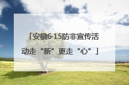 安徽6·15防非宣传活动走“新”更走“心”