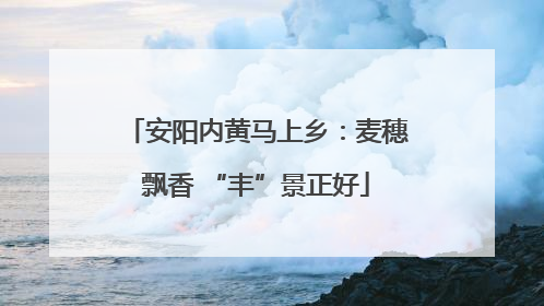 安阳内黄马上乡：麦穗飘香 “丰”景正好