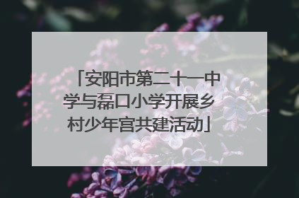 安阳市第二十一中学与磊口小学开展乡村少年宫共建活动