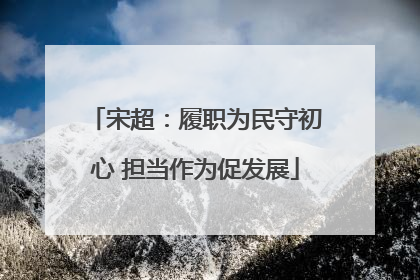 宋超：履职为民守初心 担当作为促发展
