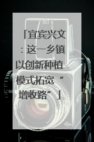 宜宾兴文：这一乡镇以创新种植模式拓宽“增收路”