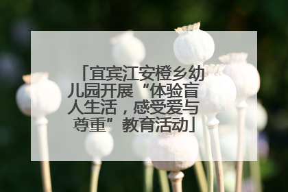 宜宾江安橙乡幼儿园开展“体验盲人生活，感受爱与尊重”教育活动