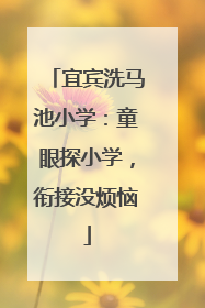 宜宾洗马池小学：童眼探小学，衔接没烦恼