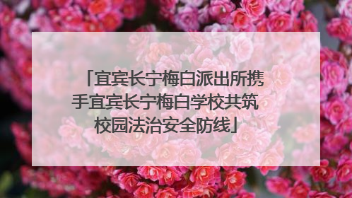 宜宾长宁梅白派出所携手宜宾长宁梅白学校共筑校园法治安全防线