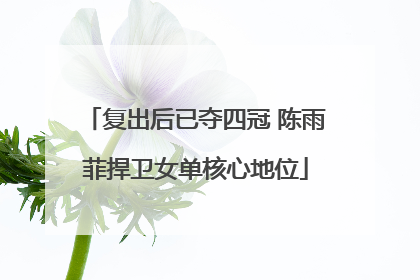 复出后已夺四冠 陈雨菲捍卫女单核心地位