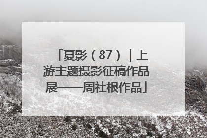 夏影（87）｜上游主题摄影征稿作品展——周社根作品