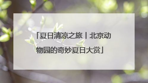 夏日清凉之旅丨北京动物园的奇妙夏日大赏