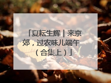 夏耘生辉｜来京郊，过农味儿端午（合集上）