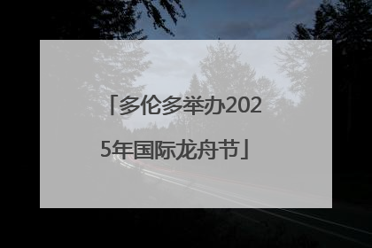 多伦多举办2025年国际龙舟节