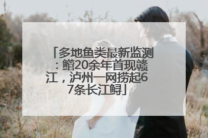 多地鱼类最新监测：鳤20余年首现赣江，泸州一网捞起67条长江鲟