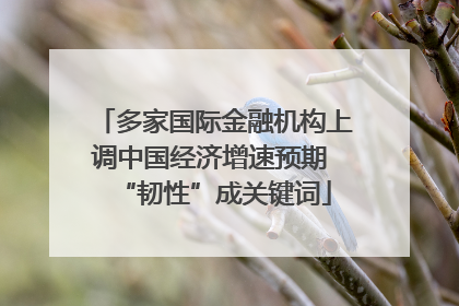 多家国际金融机构上调中国经济增速预期 “韧性”成关键词