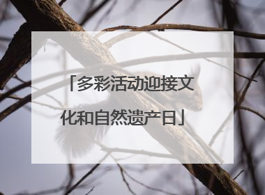 多彩活动迎接文化和自然遗产日