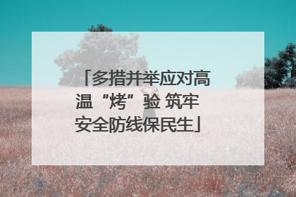多措并举应对高温“烤”验 筑牢安全防线保民生