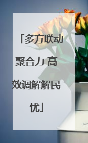 多方联动聚合力 高效调解解民忧