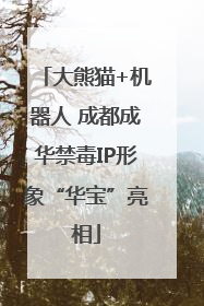 大熊猫+机器人 成都成华禁毒IP形象“华宝”亮相