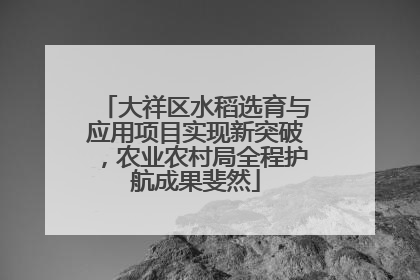 大祥区水稻选育与应用项目实现新突破，农业农村局全程护航成果斐然