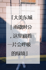 大美东城｜雨歇时分，这里藏着一片会呼吸的绿境