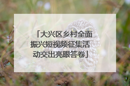 大兴区乡村全面振兴短视频征集活动交出亮眼答卷