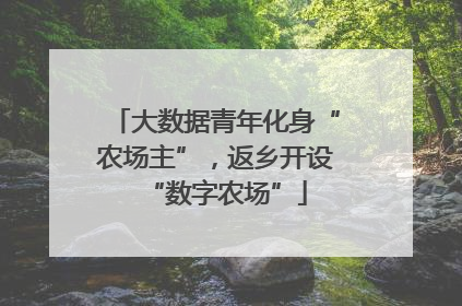 大数据青年化身“农场主”，返乡开设“数字农场”