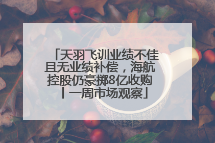 天羽飞训业绩不佳且无业绩补偿，海航控股仍豪掷8亿收购丨一周市场观察