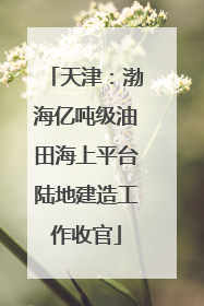 天津：渤海亿吨级油田海上平台陆地建造工作收官