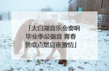 太白湖音乐会奏响毕业季最强音 青春赞歌点燃夏夜激情