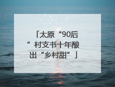 太原“90后”村支书十年酿出“乡村甜”