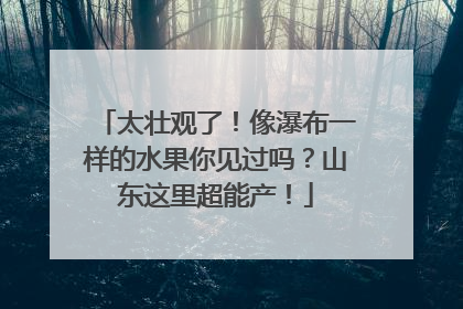 太壮观了！像瀑布一样的水果你见过吗？山东这里超能产！