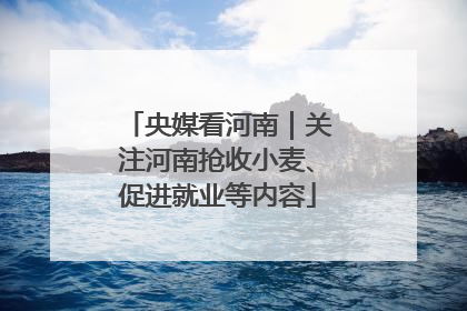 央媒看河南｜关注河南抢收小麦、促进就业等内容
