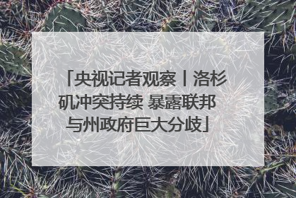 央视记者观察丨洛杉矶冲突持续 暴露联邦与州政府巨大分歧