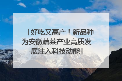 好吃又高产！新品种为安徽蔬菜产业高质发展注入科技动能