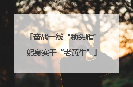 奋战一线“领头雁” 躬身实干“老黄牛”