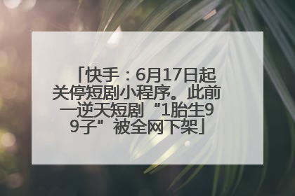 快手：6月17日起关停短剧小程序。此前一逆天短剧“1胎生99子”被全网下架