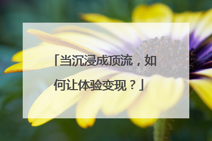 当沉浸成顶流，如何让体验变现？