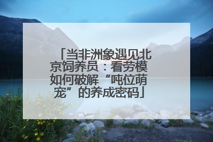 当非洲象遇见北京饲养员：看劳模如何破解“吨位萌宠”的养成密码
