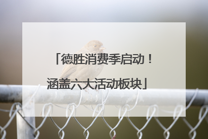 德胜消费季启动！涵盖六大活动板块
