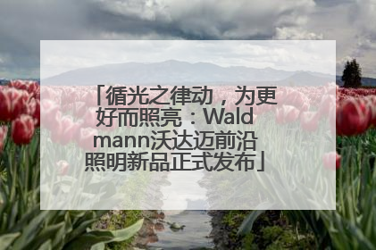 循光之律动，为更好而照亮：Waldmann沃达迈前沿照明新品正式发布