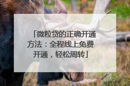 微粒贷的正确开通方法：全程线上免费开通，轻松周转