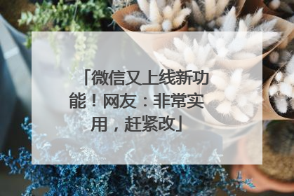 微信又上线新功能！网友：非常实用，赶紧改
