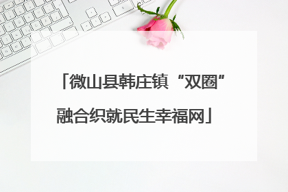 微山县韩庄镇“双圈”融合织就民生幸福网