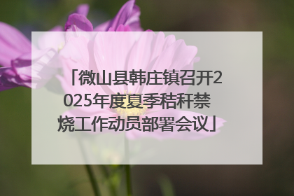 微山县韩庄镇召开2025年度夏季秸秆禁烧工作动员部署会议
