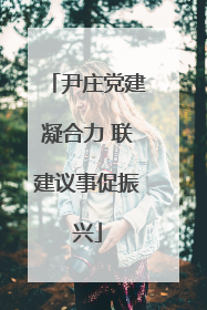 尹庄党建凝合力 联建议事促振兴